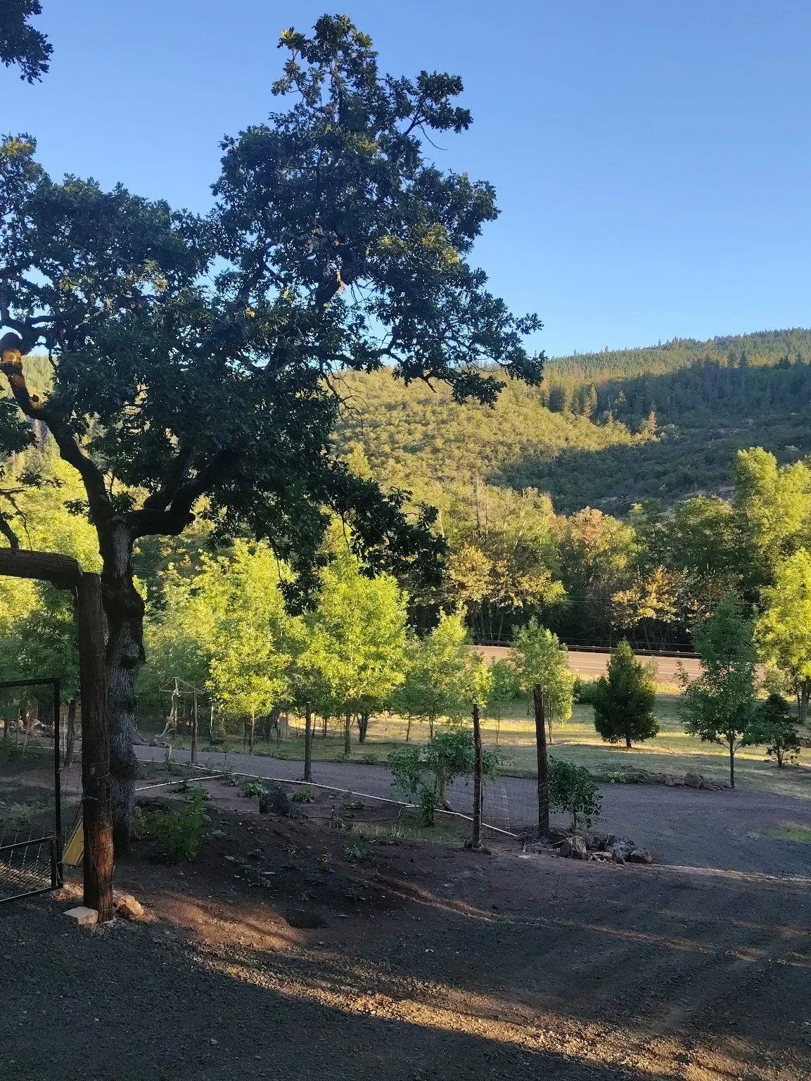 Native Landscape