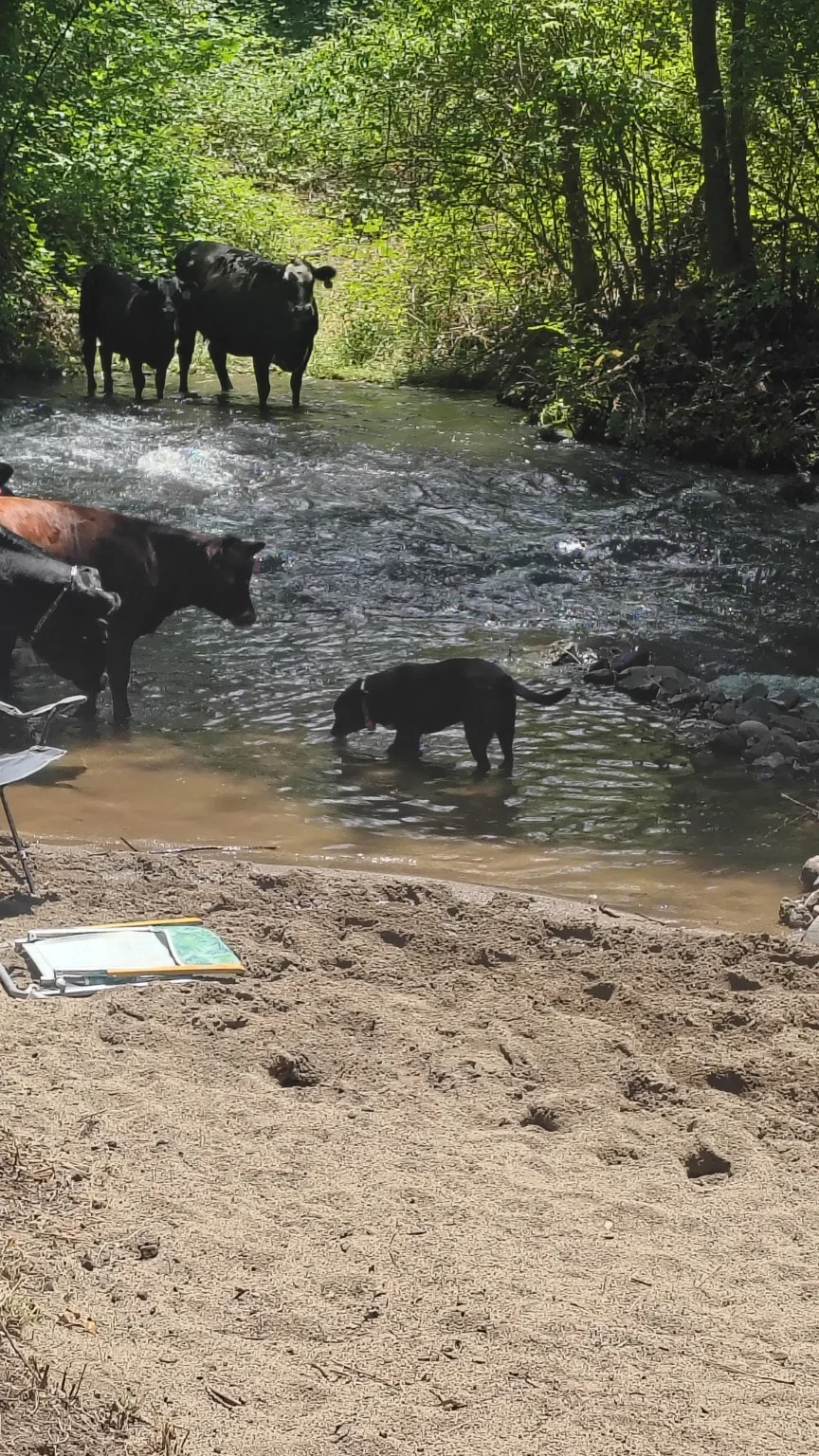 Water and Friends at Rogue Rapid Farms