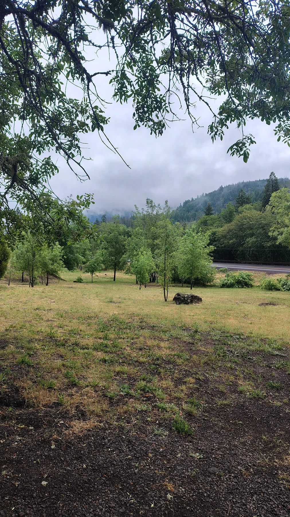 Front Yard at Rogue Rapid Farms
