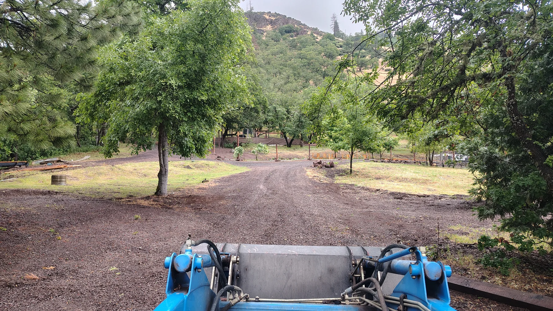 Lowrider Is a Little Slower at Rogue Rapid Farms