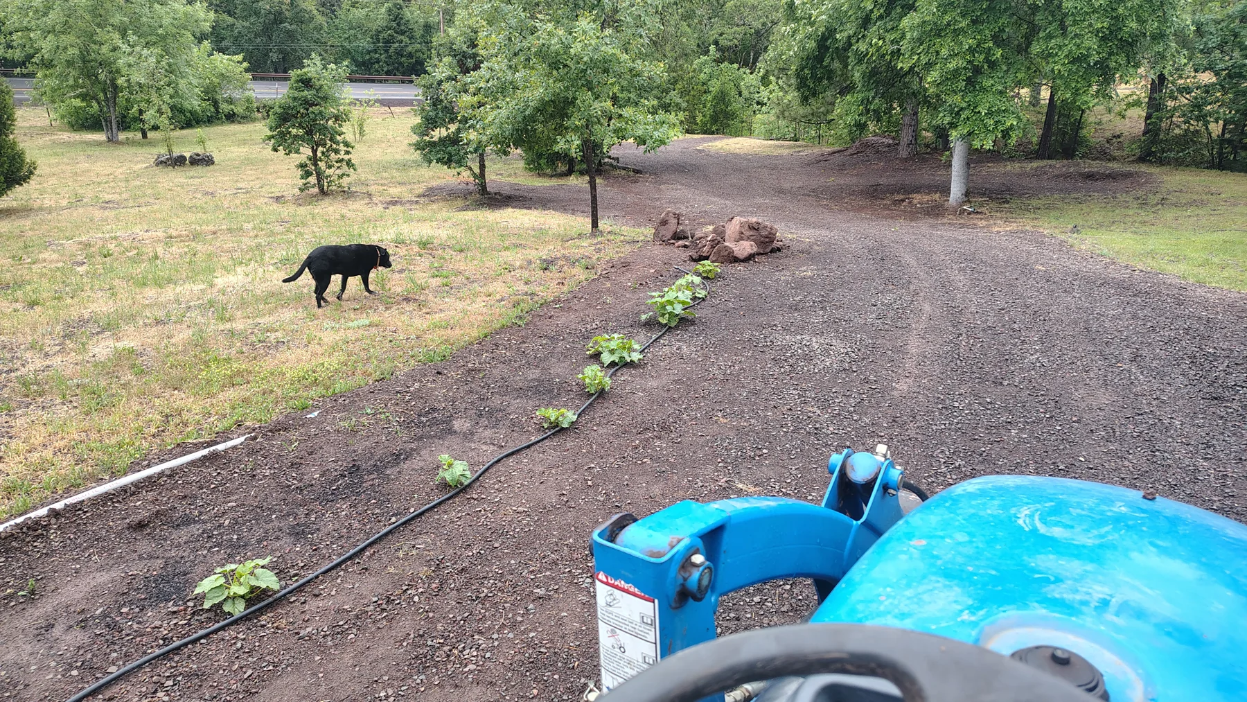 Pumpkin Patch at Rogue Rapid Farms