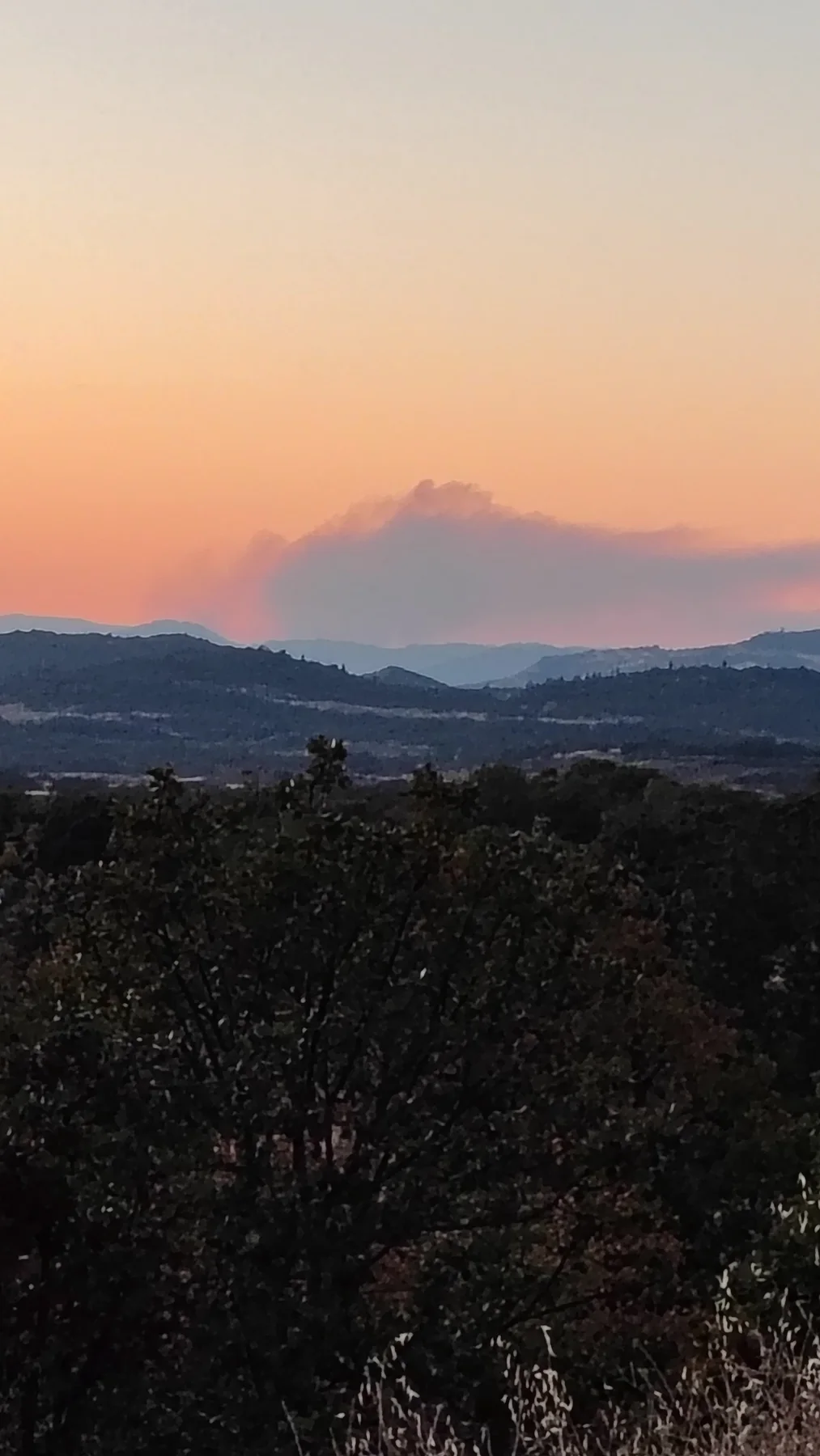 Evening light and haze over a wooded ridge at Rogue Rapid Farms
