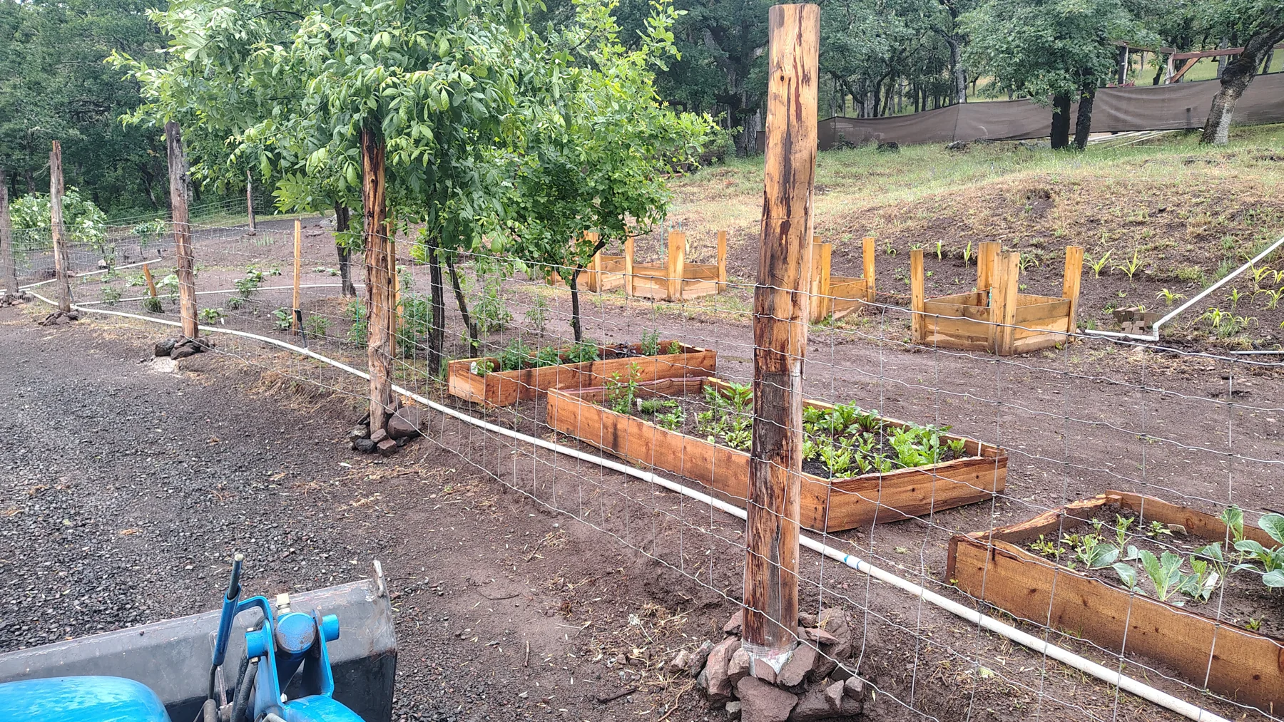 Start of the Garden at Rogue Rapid Farms
