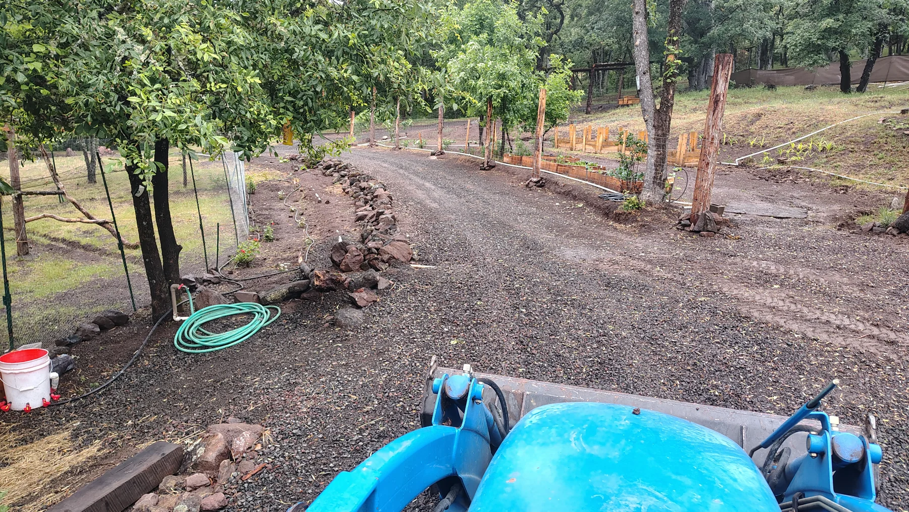 Start of the Garden at Rogue Rapid Farms